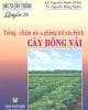 Kỹ thuật trồng bông vải ở Việt Nam part 7