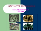 Các loại bánh lá ngón ở Việt Nam