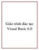 Giáo trình đào tạo Visual Basic 6.0
