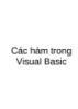 Các hàm trong Visual basic 6.0