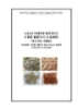 Giáo trình Chế biến cá khô - MĐ03: Chế biến hải sản khô