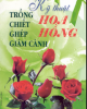 Ebook Kỹ thuật trồng - chiết - ghép - giâm cành hoa hồng: Phần 2 - Việt Chương, Lâm Thị Mỹ Hương
