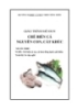 Giáo trình Chế biến cá nguyên con, cắt khúc - MĐ03: Chế biến cá tra, cá basa đông lạnh xuất khẩu