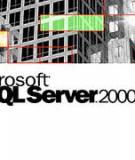 Hướng dẫn cài đặt SQL Server 2000