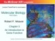 Lecture Molecular biology (Fifth Edition): Chapter 3 - Robert F. Weaver