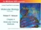 Lecture Molecular biology (Fifth Edition): Chapter 4 - Robert F. Weaver