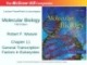 Lecture Molecular biology (Fifth Edition): Chapter 11 - Robert F. Weaver