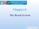 Lecture Foundations of nursing: An integrated approach: Chapter 6 - Cliff Evans, Emma Tippins