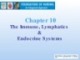 Lecture Foundations of nursing: An integrated approach: Chapter 10 - Cliff Evans, Emma Tippins