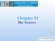 Lecture Foundations of nursing: An integrated approach: Chapter 11 - Cliff Evans, Emma Tippins