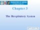 Lecture Foundations of nursing: An integrated approach: Chapter 3 - Cliff Evans, Emma Tippins