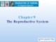 Lecture Foundations of nursing: An integrated approach: Chapter 9 - Cliff Evans, Emma Tippins