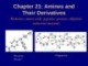 Lecture Organic chemistry - Chapter 21: Amines and their derivatives