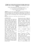 NUMERICALLY STUDY EFFECTIVENESS OF CONTROL SURFACE ON AERODYNAMIC OF BRIDGE DECK BY USING IMMERSED BOUNDARY  METHOD 