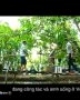 Video Ẩm thực Nam bộ: Về miền Tây ăn trái cây miệt vườn