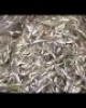 Video Ký ức miền Tây: Mùa cá cơm