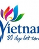 Các vùng văn hóa Việt Nam - Bùi Huy Toàn