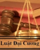 Trắc nghiệm pháp luật đại cương: Tòa án
