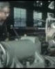 Video Blaming the Worker Safety Program 1955