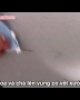 Video Cách xóa vết xước trên bề mặt xe