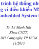 Bài giảng Lập hệ thống nhúng sử dụng vi điều khiển MSP430 (Embedded System I) - TS.Lê Mạnh Hải