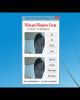 Video Lập trình trực quan - Lab 61: Webcam trên Windows Form C-Sharp