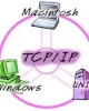 Bài giảng Chương 3: Giao thức TCP/IP