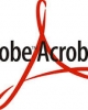 Create a fillable form in Adobe Acrobat Professional