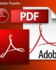 Enabling save form in Adobe Professional when using Adobe Reader to fill out form