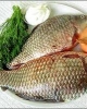 Món ăn ngon bổ từ cá chép