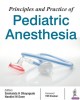 Ebook Principles and practice of pediatric anesthesia: Part 2
