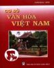 Video Cơ sở văn hóa Việt Nam - Chương 4: Bài 2 - Phong tục