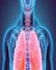 Bài giảng Y khoa - Khoa Nhi: Hô hấp
