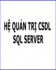 Giáo trình Quản trị cơ sở dữ liệu SQL