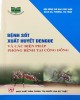 Ebook Bệnh sốt xuất huyết dengue và các biện pháp phòng bệnh tại cộng đồng: Phần 1