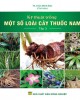 Ebook Kỹ thuật trồng một số loại cây thuốc nam (Tập 3): Phần 1 - TS. Trần Minh Đức (Chủ biên)
